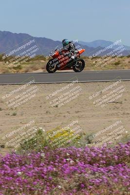 media/Mar-12-2023-SoCal Trackdays (Sun) [[d4c8249724]]/Turn 15 Inside Bloom (130pm)/